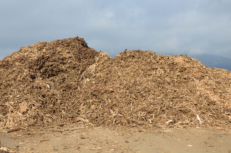 Biomasse-Waldhackgut